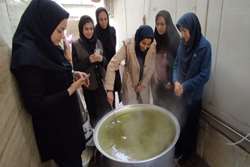 تهیه و توزیع غذای سالم در راستای پویش ملی تغذیه در شبکه بهداشت اسلامشهر